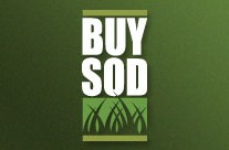 Buy Sod