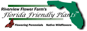 Riverview Flower Farms